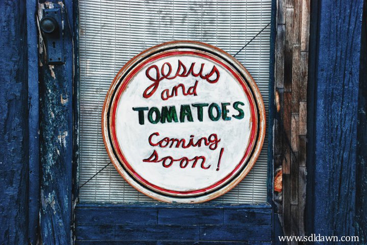 You Say Tomato, I Say Tomato